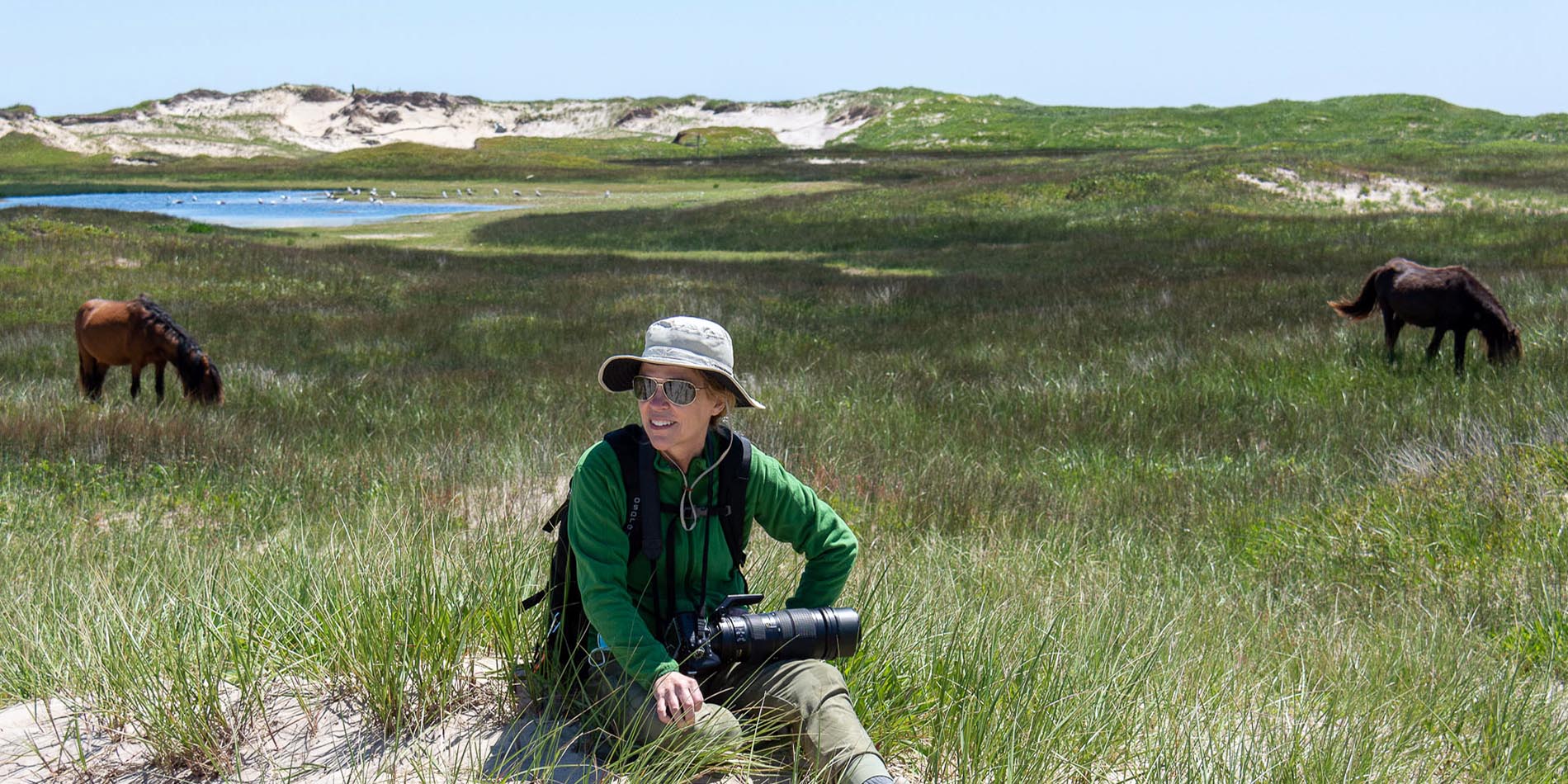 A guest watches a pair of wild horses graze on Sable Island, Nova Scotia - photo by Geordie Mott and Picture Perfect Tours.