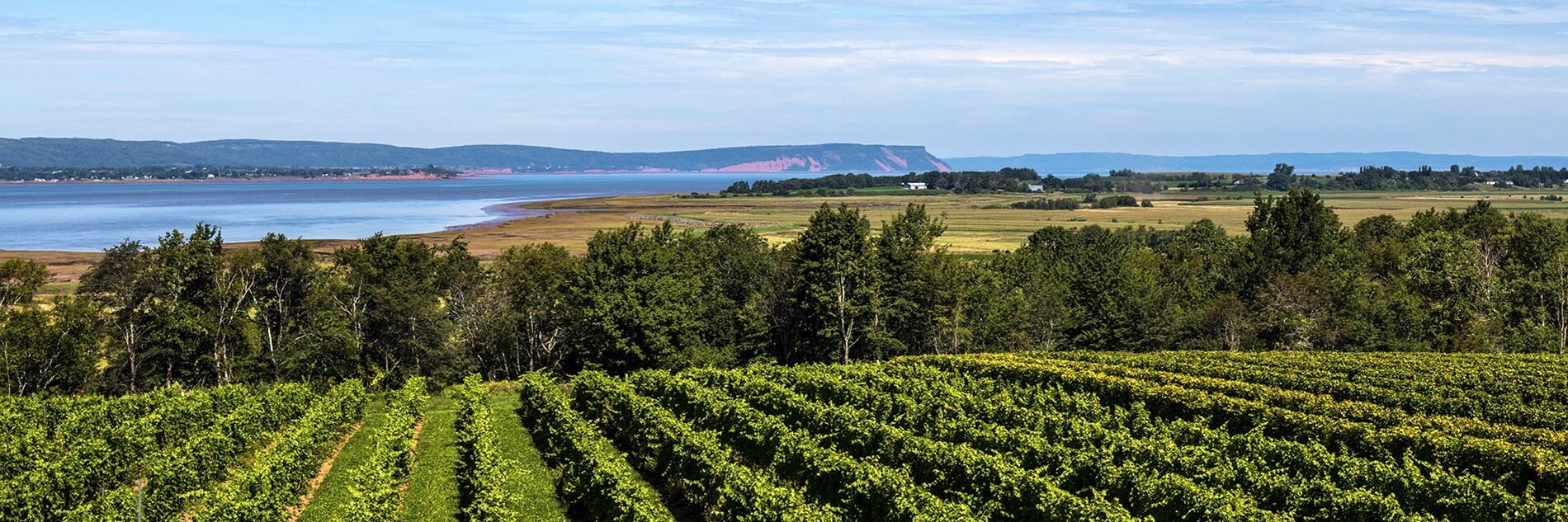 Nova Scotia vineyard tours