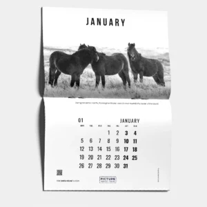 2026 Calendar - Sable Island in Black & White