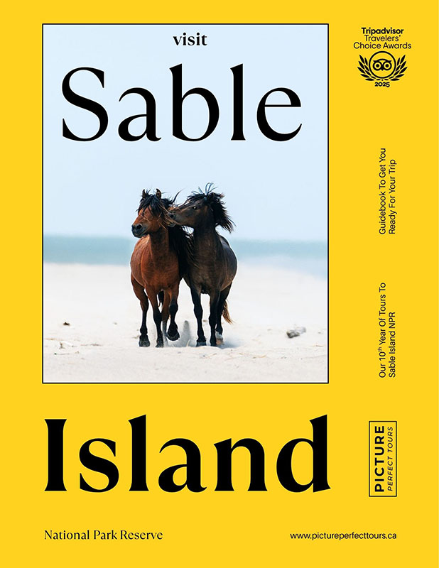 Sable Island Tour - Picture Perfect Tours